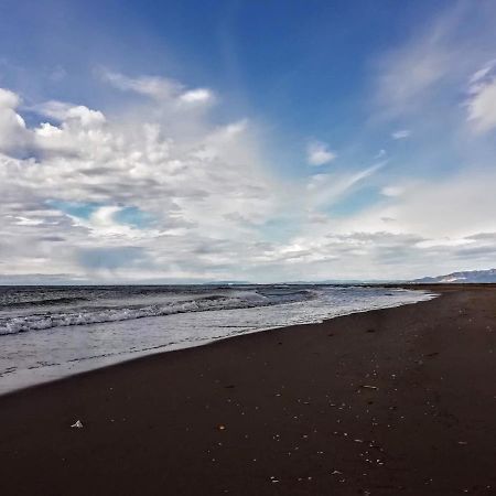 Apartamento Delta Escapada L'Eucaliptus Bagian luar foto