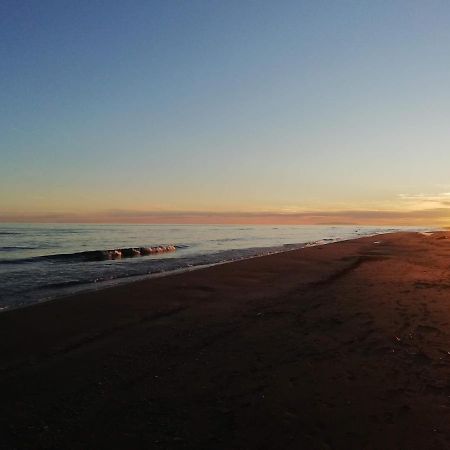 Apartamento Delta Escapada L'Eucaliptus Bagian luar foto